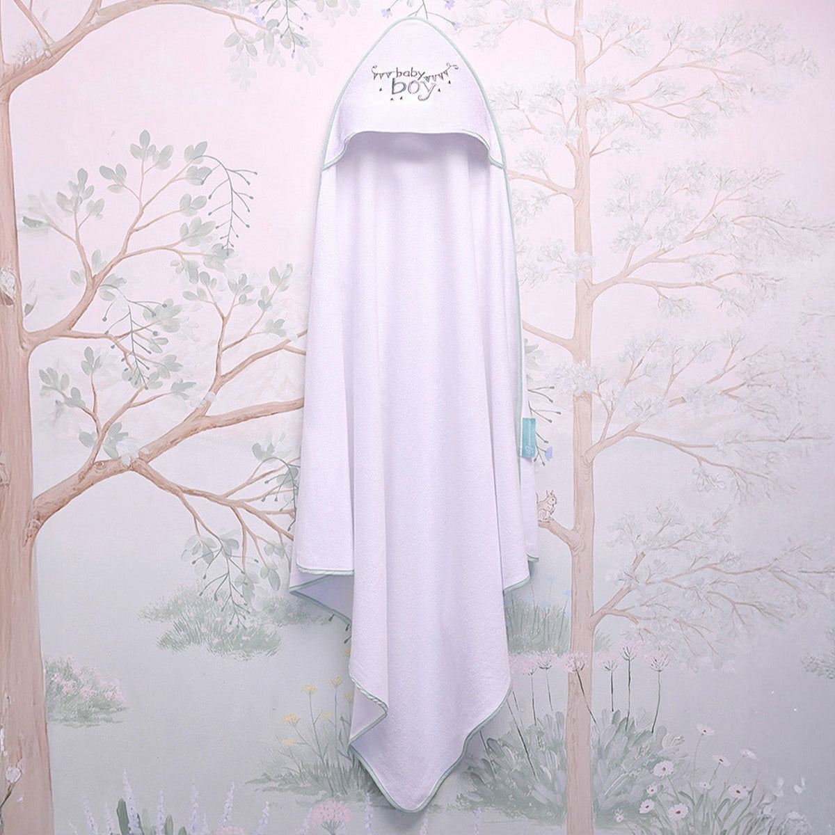 Hooded Towels - Baby Boy