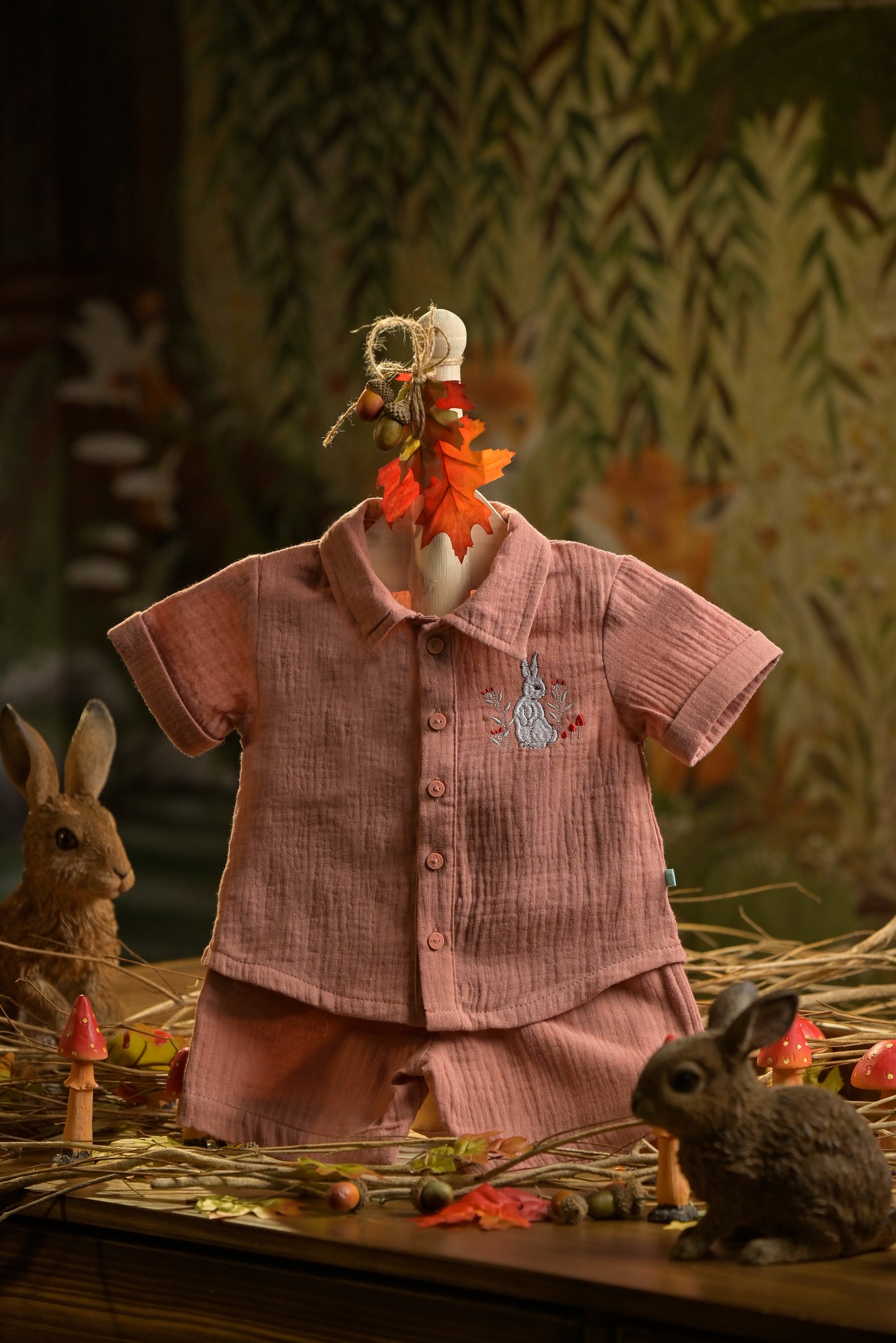 Bamboo Cotton - Bunny Rabbit Boys Shirt and Shorts Set