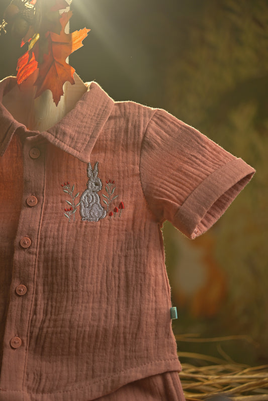 Bamboo Cotton - Bunny Rabbit Boys Shirt and Shorts Set