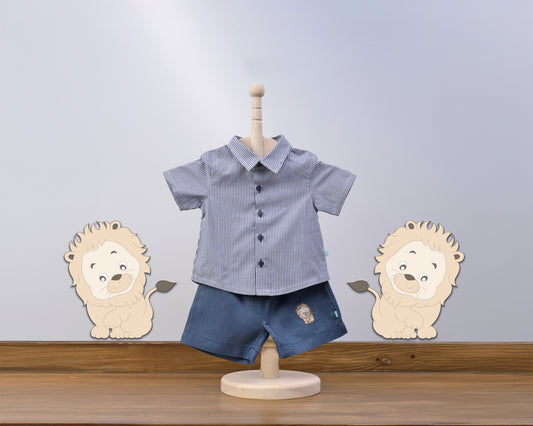 Boy Mini Kit - Lion